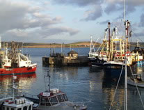 View from Ellerys window of the harbour and beyond