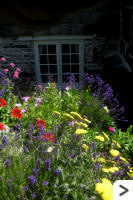Colourful summer rockery which can be viewed from the kitchen (shown) and bedroom windows.